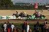 Le feu du Ciel. vence de nuevo en Pineda (Foto: Hipódromo de Pineda)